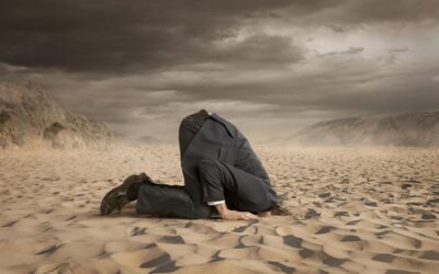 Top 4 Reasons Why Many Website Designs Fail
