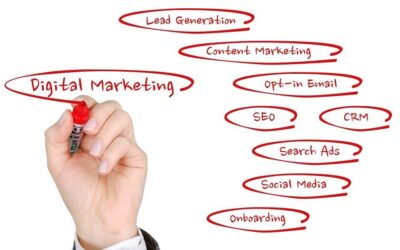 What You Should Look for in a Digital Marketing Agency